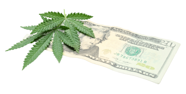 cannabis_earn_tbs