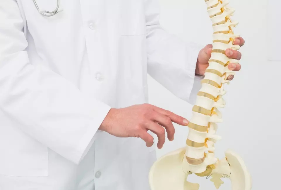 mid-section-male-doctor-with-skeleton-model