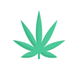 tbs-cannabis-leave